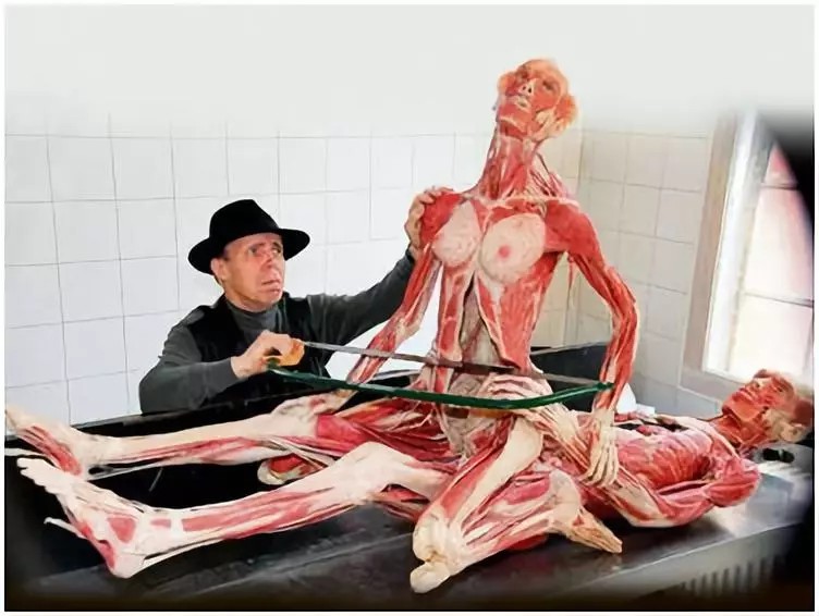 米蘭將舉辦尸體展！骨骼，肌肉，血管...一覽無遺！你敢看嗎?